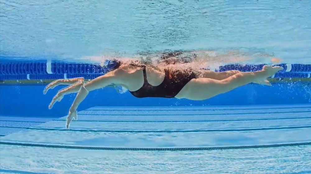 How to swim the right technique for newbies - oaustkits.com.au